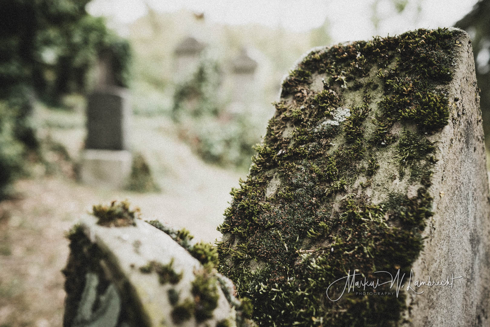Rimbeck, Jüdischer Friedhof
